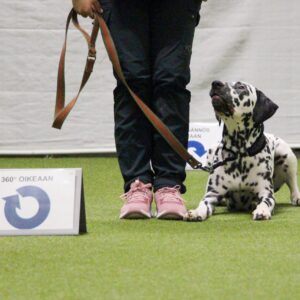 Rally-tokon ratatreeni ALO-luokka ma 12.1. klo 18:15-19:15