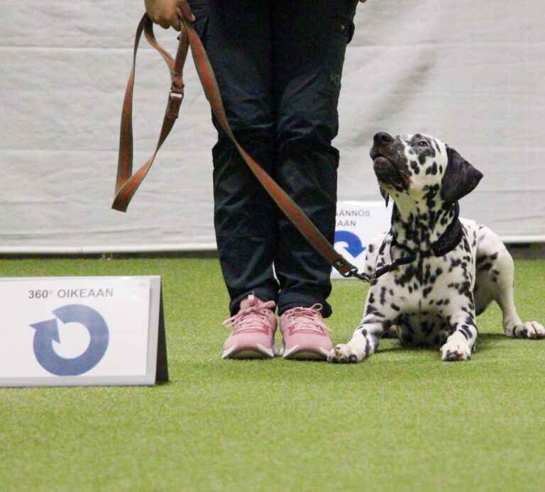 Rally-tokon ratatreeni AVO-luokka ke 18.2. klo 17:15-18:15