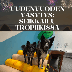 Uudenvuoden väsytys: Oma vuoro seikkailusali Tropiikkiin ke 31.12. klo 10-18 välillä