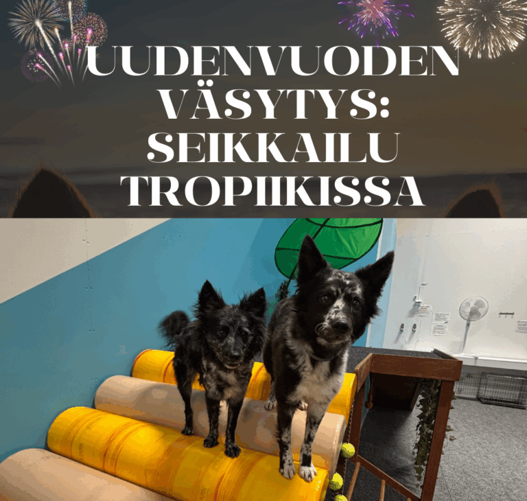 Uudenvuoden väsytys: Oma vuoro seikkailusali Tropiikkiin ke 31.12. klo 10-18 välillä