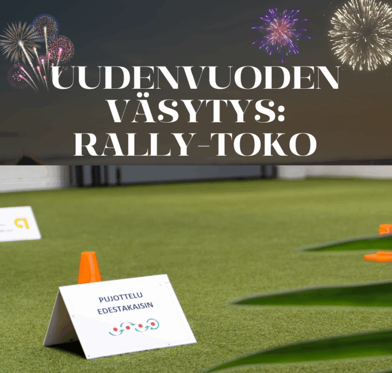 Uudenvuoden väsytys: omatoimitreeni rally-tokoradoilla ke 31.12. klo 10-18 välillä