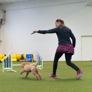 Agility: ohjaukset haltuun -tunti ke 27.8. klo 17:10-18:10