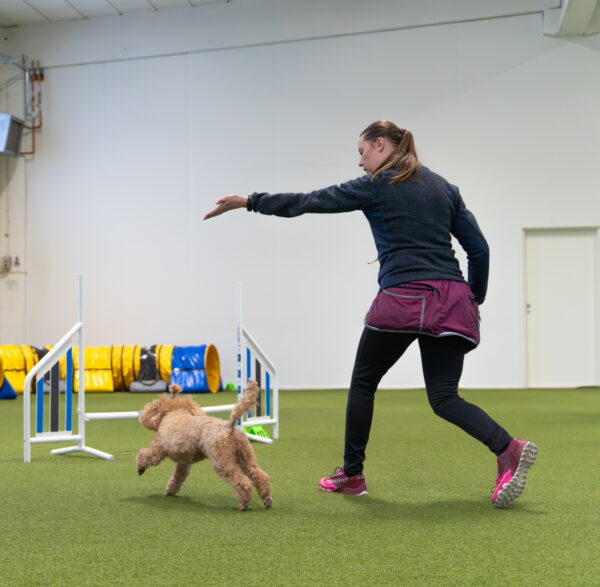 Agility: ohjaukset haltuun -tunti ke 27.8. klo 17:10-18:10