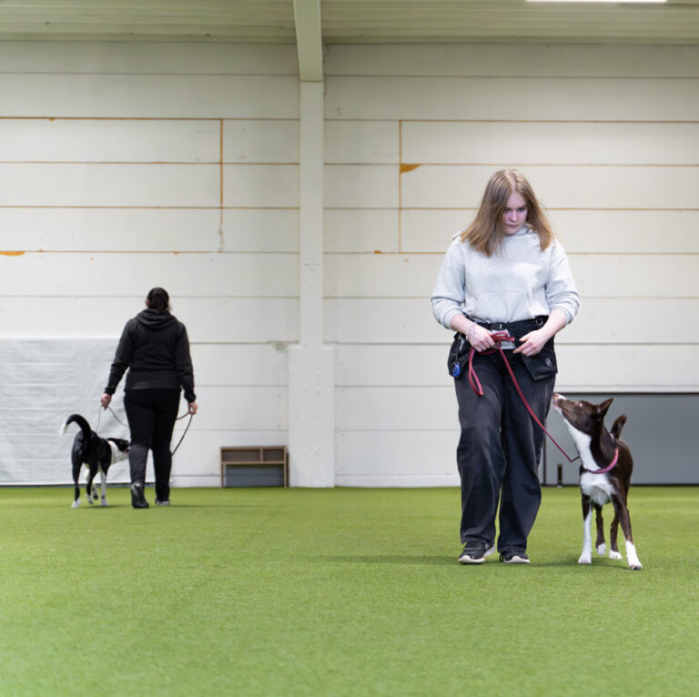 Arkitottelevaisuuden toivetunti pe 6.3. klo 17:15-18:15