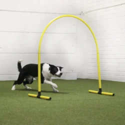 Hoopers kokeilutunti ke 1.7. klo 17-18