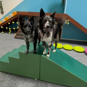 Uudenvuoden väsytys: Oma vuoro seikkailusali Tropiikkiin ke 31.12. klo 10-18 välillä