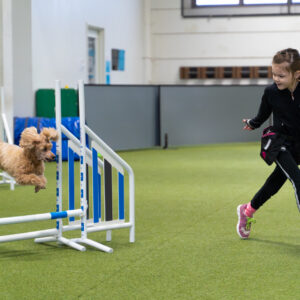 Nuorten agilityn alkeiskurssi su 1.3., 8.3., 15.3. ja 22.3. klo 13:15-14:15