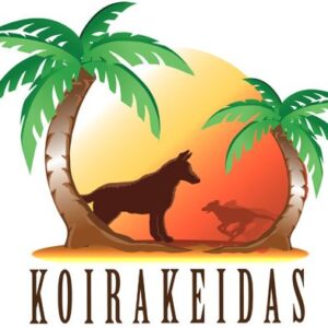 Epäviralliset agilityn aita-putkirallit la 15.4. klo 16 alkaen