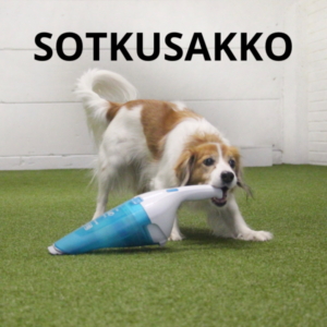 Sotkusakko