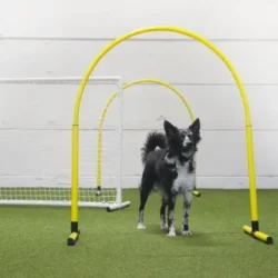 Hoopers jatkotunti lajia jo tehneille ke 1.7. klo 16-17