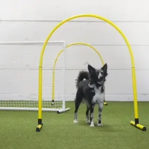 Hoopers jatkotunti lajia jo tehneille to 10.7. klo 18-19