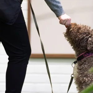 Yksityistunti hallilla la 3.1. klo 12-12:45