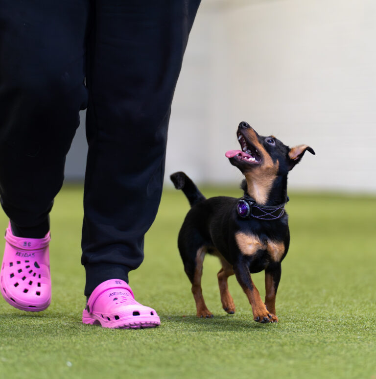 TOKO:n alkeiskurssi ti 10.2., 24.2., 3.3. ja 10.3. klo 18:15-19:15 (ei tuntia viikolla 8)