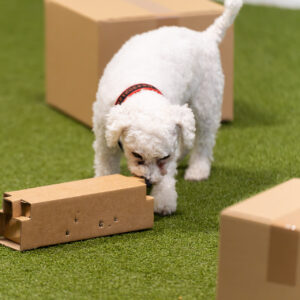 Rento tunti lajitutustumiseen: Rally-toko ma 5.1. klo 18:15-19:15