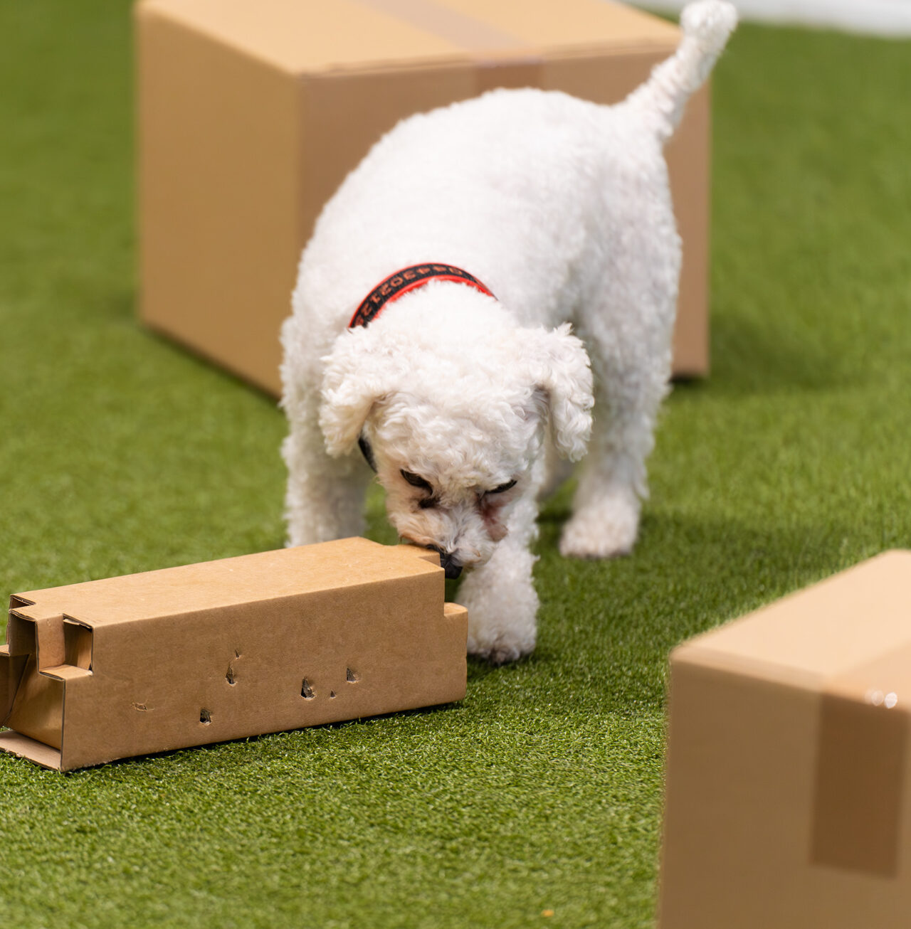 Rento tunti lajitutustumiseen: Rally-toko ma 5.1. klo 18:15-19:15 - Image 2