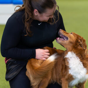 Agility: A-esteen tehotreeni kahdelle 26.2. klo 16-16:45