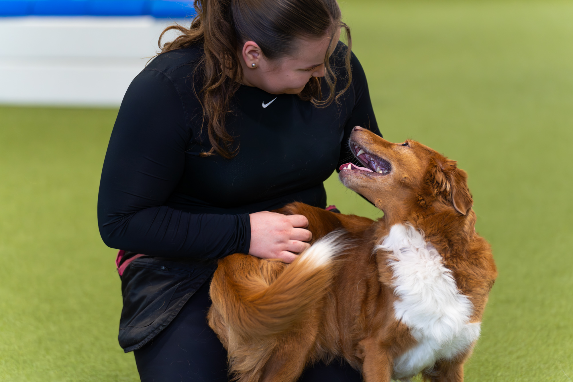 Agility: A-esteen tehotreeni kahdelle 26.2. klo 16-16:45